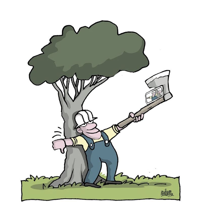 11 Cartoon Contestst Concurso De Dibujos Animados De Tv