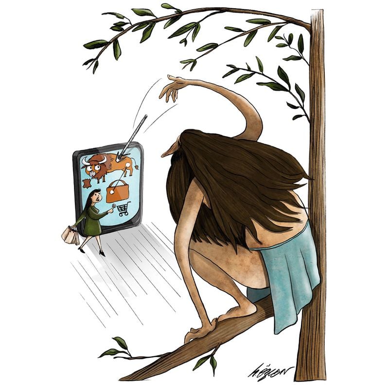 184 Cartoon Contest Turkey Modern Hunt