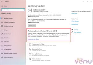 Download and install the Windows 11 24H2 update