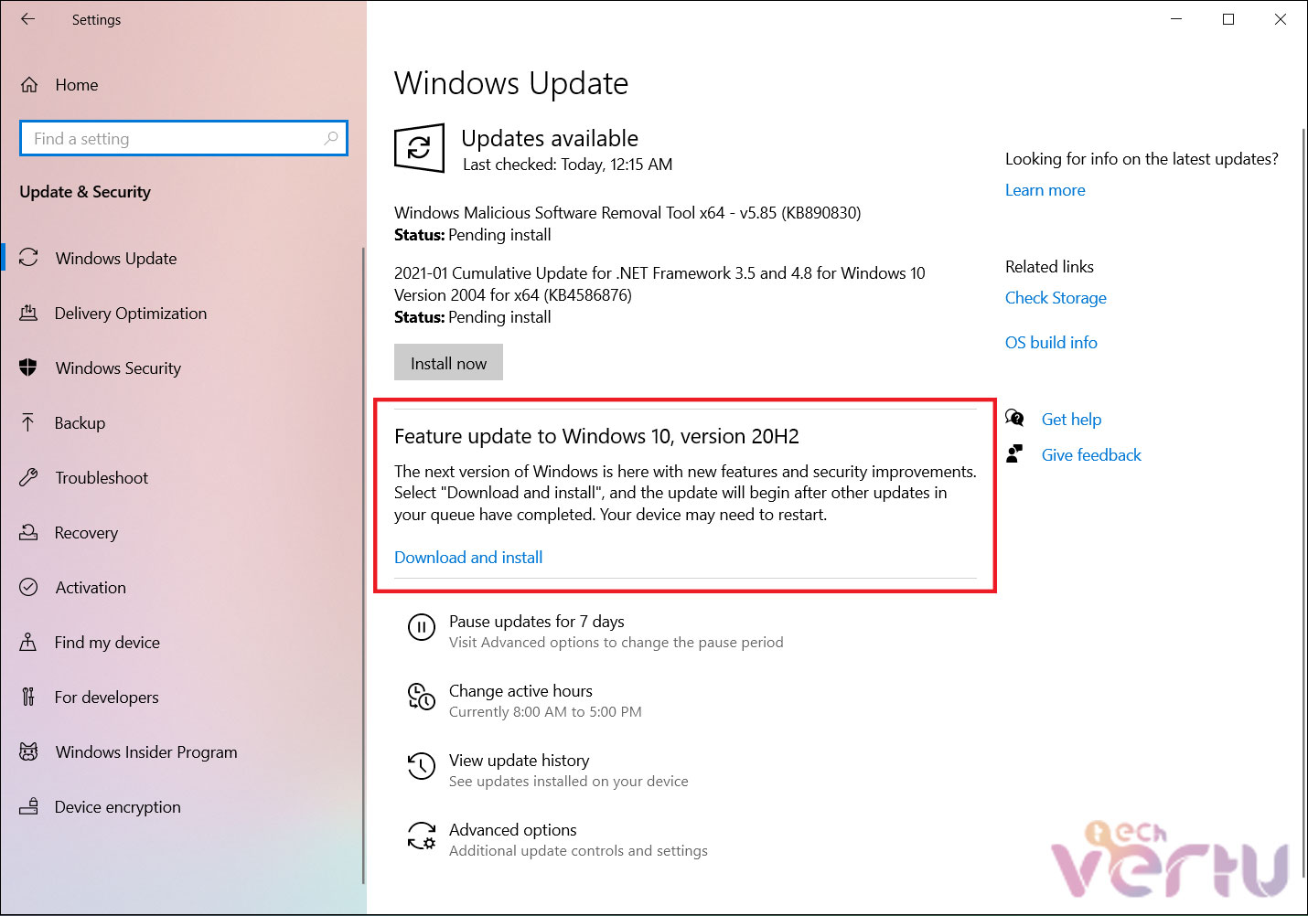 Download and install the Windows 11 24H2 update