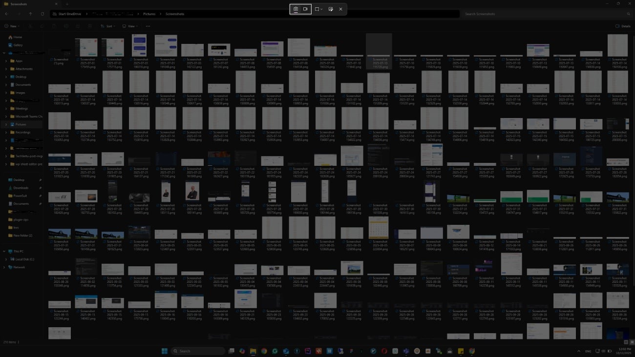 Windows Snipping Tool overlay displaying rectangle, freeform, window, and full-screen capture mode options