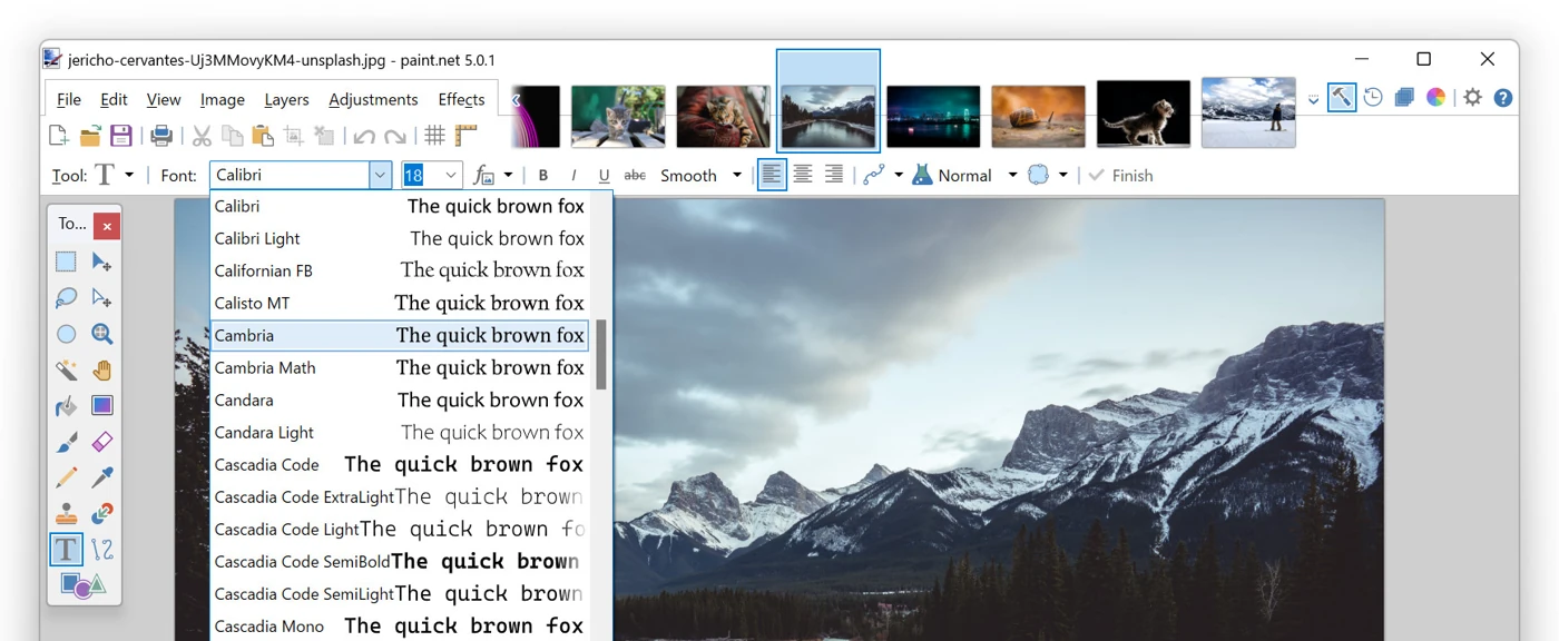 Paint.NET 5.0.1 reference screenshot with image tabs and the text font menu