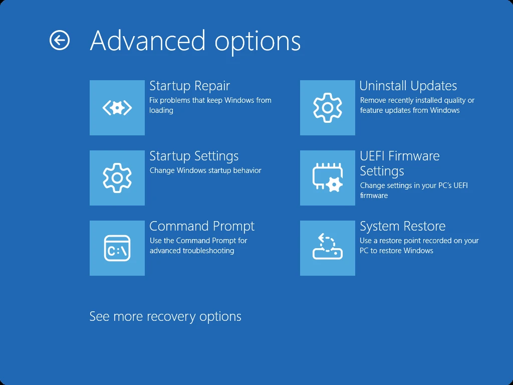 Windows recovery Advanced options showing Startup Settings separately from Startup Repair